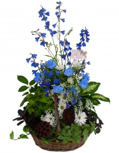 House Plants W / Fresh Cut Flowers