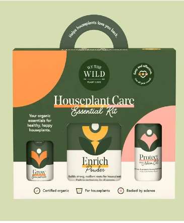Houseplant Care Essential Kit  in Amherst, MA | Floral Affairs Of Amherst