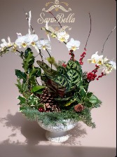 HOUSEWARMING ORCHID ARRANGEMENT LIVE PLANTS IN THE Plant & cut branches