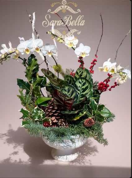 HOUSEWARMING ORCHID ARRANGEMENT LIVE PLANTS IN THE Plant & cut branches