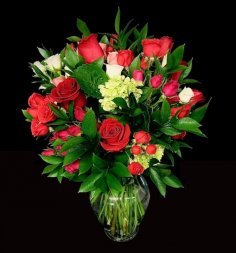 Category Image