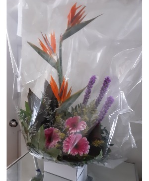 ! hr delivery 