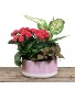 Hugo's Carden Planter Tropical Planter