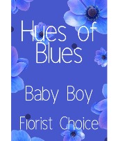 Hues of Blue Baby Boy Florist Choice 
