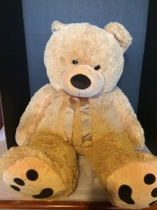 Huge Teddy Bears Plush