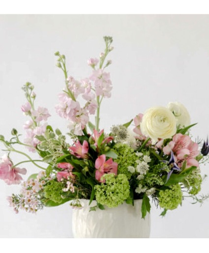 Hugs & Healthy Wishes 