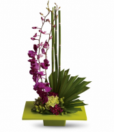 Hugs & Smiles Zen Bouquet Arrangement