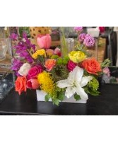 Hummingbird- (large) Box Arrangement