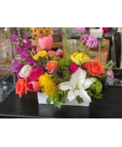 Hummingbird- (large) Box Arrangement
