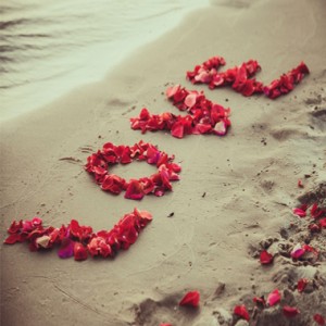 Hundreds of Rose Petals Flowers in Brentwood Bay, BC | PETALS N BUDS BRENTWOOD BAY FLORIST Hundreds of Rose Petals Flowers in Brentwood Bay, BC | PETALS N BUDS BRENTWOOD BAY FLORIST