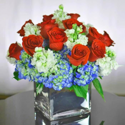 Hy Roses