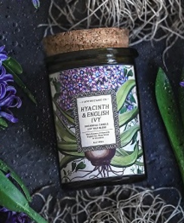 Hyacinth & English Ivy 6oz Candle that Burns 40 Hours in Key West, FL | Petals & Vines Hyacinth & English Ivy 6oz Candle that Burns 40 Hours in Key West, FL | Petals & Vines