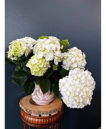 Astoria Florist | Astoria OR Flower Shop | BLOOMIN CRAZY FLORAL