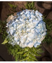 Hydrangea and Pearls Bouquet