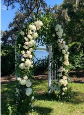 Hydrangea arch arch