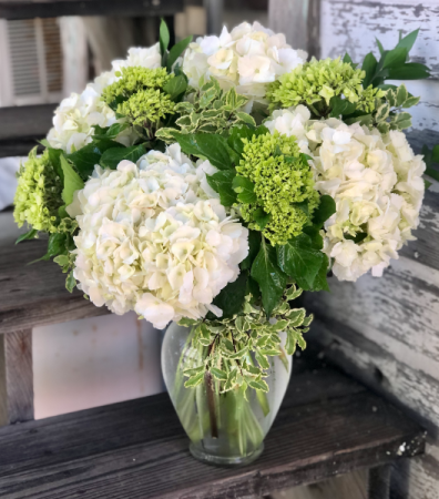 Image of Hydrangea arrangement in a vase