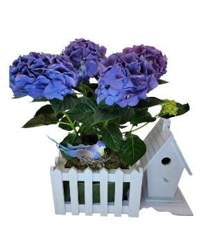 Hydrangea Bird House Planter 