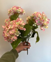 Hydrangea Bush 