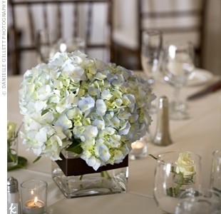 Hydrangea Centerpiece in Pembroke, MA - CANDY JAR AND DESIGNS IN BLOOM