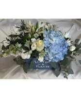 Hydrangea Collection 