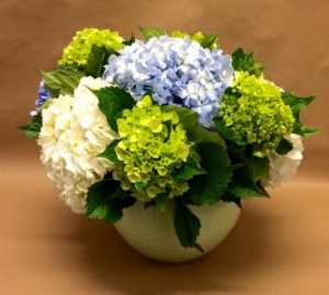 Hydrangea Combination Vase Arrangement 