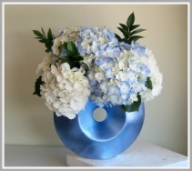 Hydrangea Contemporary