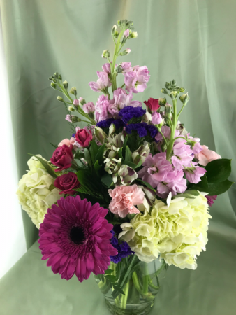 Hydrangea Delight