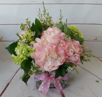 Hydrangea Garden Sorry, We've Sold Out