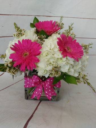 Hydrangea & Gerbera Garden Sorry, We've sold Out