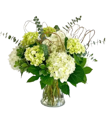Hydrangea Harmony   in Southern Pines, NC | Hollyfield Design Inc.