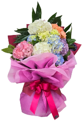 Hydrangea Hues Specialty Wrapping