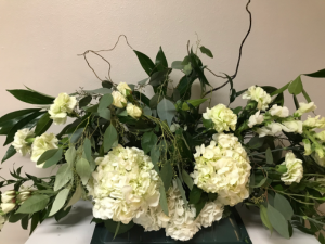 Hydrangea in Hints of Green Casket Flowers 