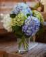 Hydrangea Lover Arrangement