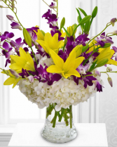 Hydrangea & Orchid Elegance Arrangement