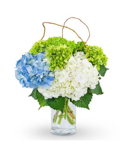 Hydrangea Perfection Flower Arrangement