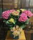Hydrangea Plant 