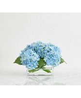 Hydrangea Sky Arrangement