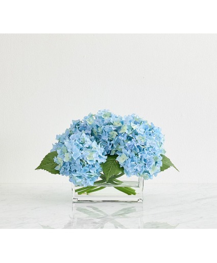 Hydrangea Sky Arrangement