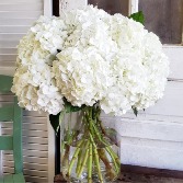 Hydrangea Vase 