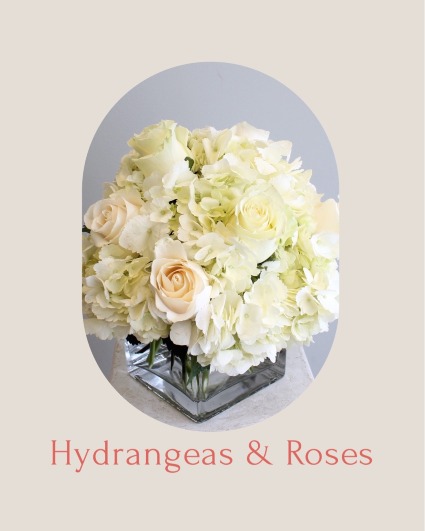 Hydrangeas and Roses  *READ DESCRIPTION*