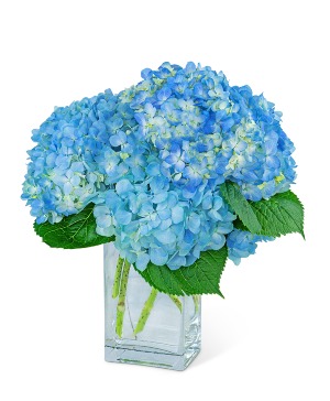 Hydrangeas In Blue Flower Arrangement