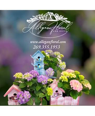Birds and Blooms Hydrangea in Birdhouse Planter in Allegan, MI | Allegan Floral and Gifts Birds and Blooms Hydrangea in Birdhouse Planter in Allegan, MI | Allegan Floral and Gifts
