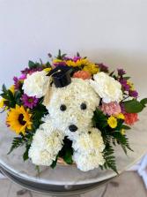 I am proud of you Arrangement 