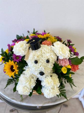 I am proud of you Arrangement