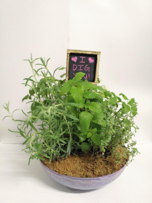 I Dig You Herb Garden in Springfield, MO | FLOWERAMA #226 I Dig You Herb Garden in Springfield, MO | FLOWERAMA #226