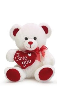I Love You Bear 