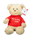 "I Love You" Bear Gund Teddy Bear