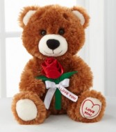 Teddy Bear (colors vary-brown, tan, white)