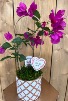 I Love you Mom Bougainvillea Happy Mothers day