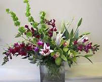 Category Image